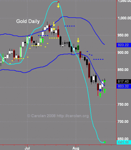 gold-d-082008